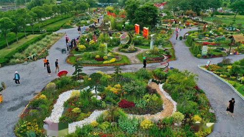 2021年河南省园林绿化花境竞赛部分参赛作品赏析
