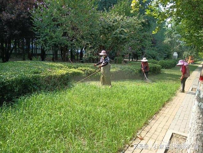 邯郸永年:园林绿化大提质扮靓城市再添彩